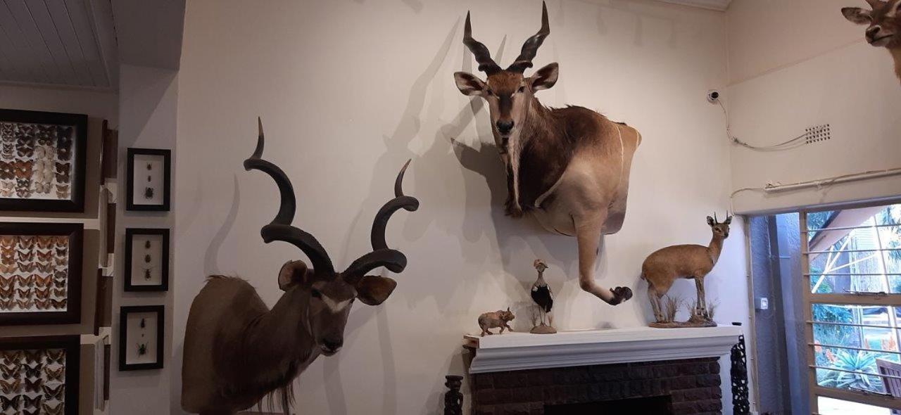 Afton Safari Lodge Kempton Park Eksteriør bilde